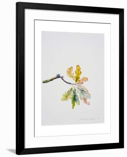 Oak Leaves, 2001-Rebecca John-Framed Giclee Print