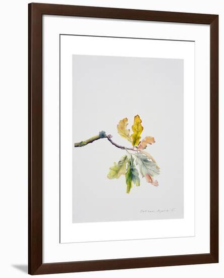 Oak Leaves, 2001-Rebecca John-Framed Giclee Print