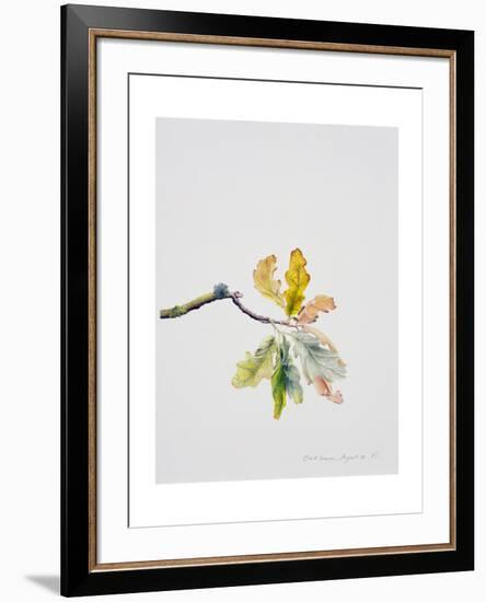 Oak Leaves, 2001-Rebecca John-Framed Giclee Print