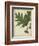 Oak Leaves and Acorns II-John Torrey-Framed Art Print