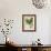 Oak Leaves and Acorns II-John Torrey-Framed Art Print displayed on a wall