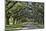 Oak lined road, Charleston, South Carolina-Darrell Gulin-Mounted Photographic Print