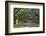 Oak lined road, Charleston, South Carolina-Darrell Gulin-Framed Photographic Print