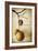 Oak Pods 1-Jessica Rogers-Framed Giclee Print