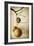 Oak Pods 1-Jessica Rogers-Framed Giclee Print