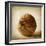 Oak Pods 4-Jessica Rogers-Framed Giclee Print