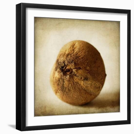 Oak Pods 4-Jessica Rogers-Framed Giclee Print