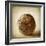 Oak Pods 5-Jessica Rogers-Framed Giclee Print