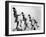 Oak Ridge High School Drum Majorettes on the Football Field. 1946-Ed Westcott-Framed Photo