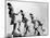 Oak Ridge High School Drum Majorettes on the Football Field. 1946-Ed Westcott-Mounted Photo