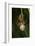 Oak Spider with Prey, Grasshopper, Spinning-Harald Kroiss-Framed Photographic Print