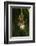 Oak Spider with Prey, Grasshopper, Spinning-Harald Kroiss-Framed Photographic Print