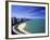 Oak Street Beach, Lake Michigan, Chicago, Illinois, USA-null-Framed Photographic Print
