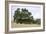 Oak Tree #107-Alan Blaustein-Framed Photographic Print