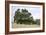 Oak Tree #107-Alan Blaustein-Framed Photographic Print