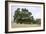 Oak Tree #107-Alan Blaustein-Framed Photographic Print