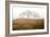 Oak Tree #16-Alan Blaustein-Framed Photographic Print