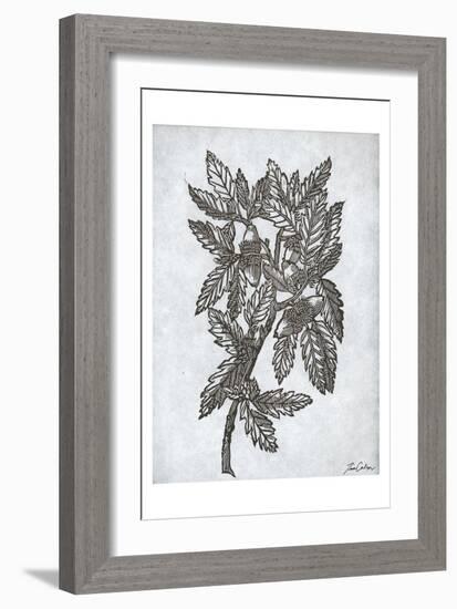 Oak Tree 1-Tina Carlson-Framed Art Print