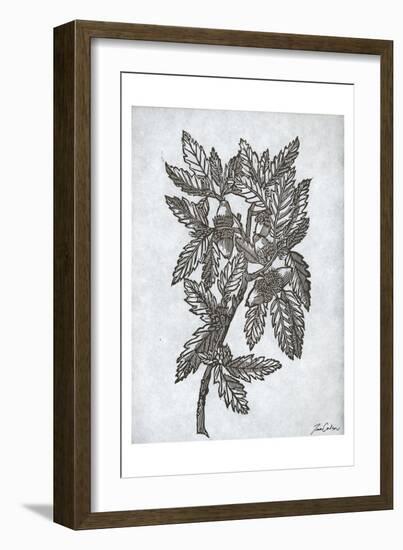 Oak Tree 1-Tina Carlson-Framed Art Print