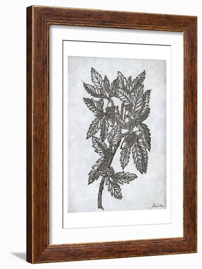 Oak Tree 1-Tina Carlson-Framed Art Print