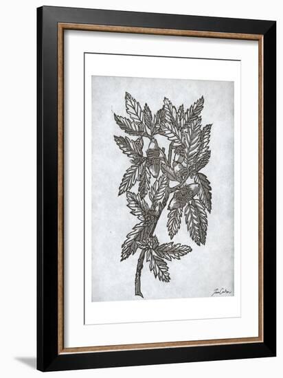 Oak Tree 1-Tina Carlson-Framed Art Print