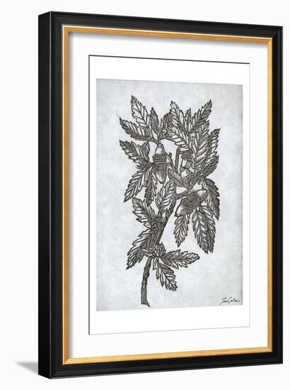 Oak Tree 1-Tina Carlson-Framed Art Print