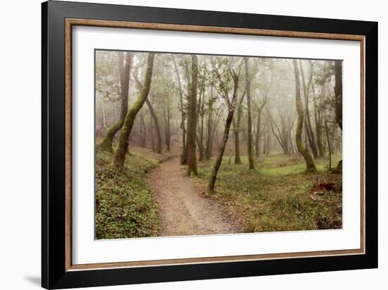 Oak Tree #21-Alan Blaustein-Framed Photographic Print