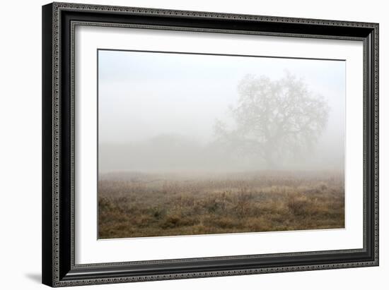 Oak Tree #28-Alan Blaustein-Framed Photographic Print