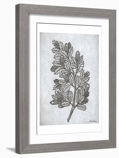 Oak Tree 2-Tina Carlson-Framed Art Print