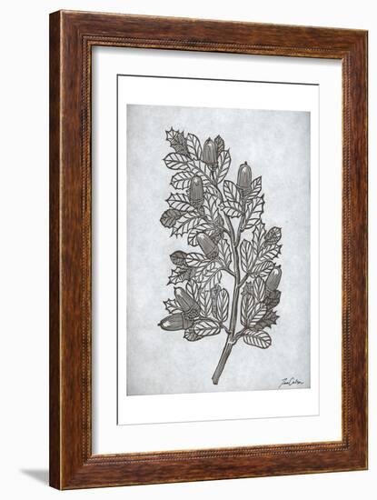 Oak Tree 2-Tina Carlson-Framed Art Print