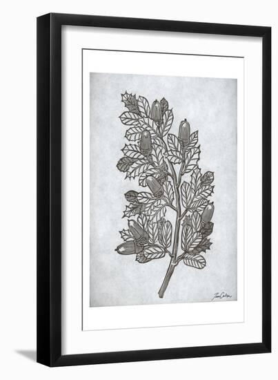 Oak Tree 2-Tina Carlson-Framed Art Print