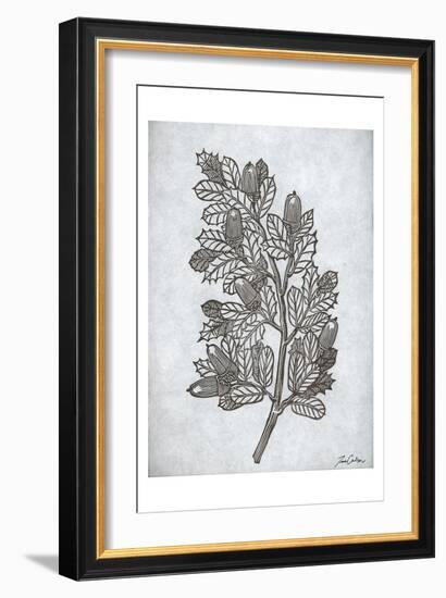 Oak Tree 2-Tina Carlson-Framed Art Print