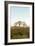 Oak Tree #34-Alan Blaustein-Framed Photographic Print