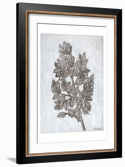 Oak Tree 3-Tina Carlson-Framed Art Print