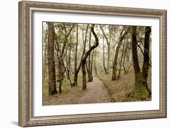 Oak Tree #47-Alan Blaustein-Framed Photographic Print