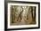 Oak Tree #47-Alan Blaustein-Framed Photographic Print