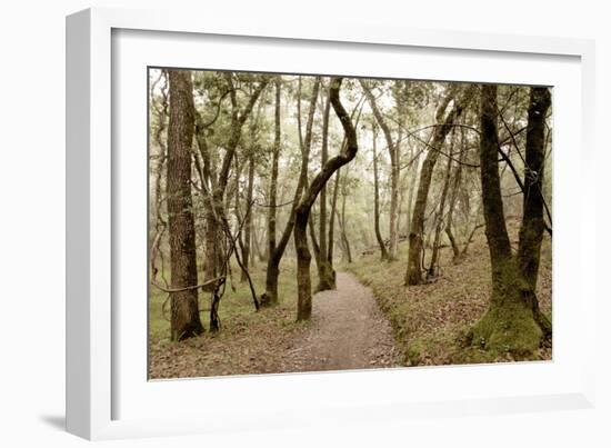 Oak Tree #47-Alan Blaustein-Framed Photographic Print