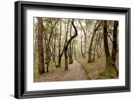 Oak Tree #47-Alan Blaustein-Framed Photographic Print