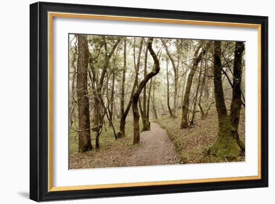 Oak Tree #47-Alan Blaustein-Framed Photographic Print