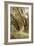 Oak Tree #49-Alan Blaustein-Framed Photographic Print