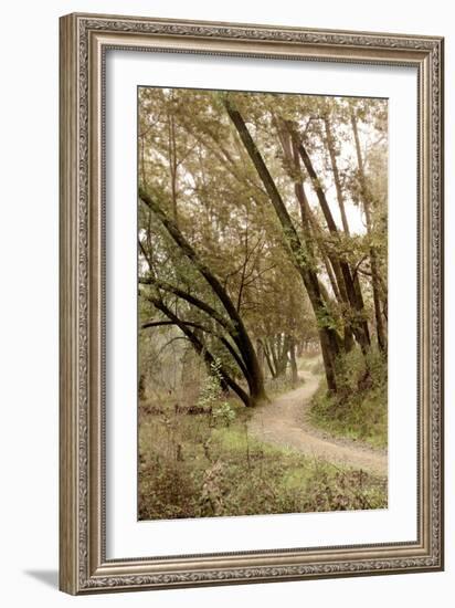 Oak Tree #49-Alan Blaustein-Framed Photographic Print