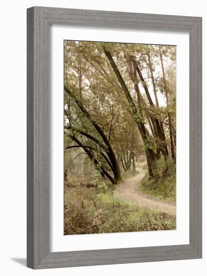 Oak Tree #49-Alan Blaustein-Framed Photographic Print