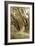 Oak Tree #49-Alan Blaustein-Framed Photographic Print