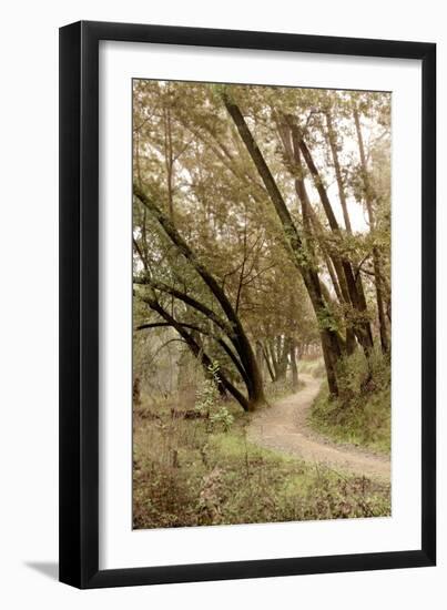 Oak Tree #49-Alan Blaustein-Framed Photographic Print