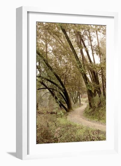 Oak Tree #49-Alan Blaustein-Framed Photographic Print