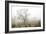 Oak Tree #62-Alan Blaustein-Framed Photographic Print