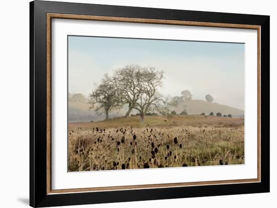 Oak Tree #68-Alan Blaustein-Framed Photographic Print