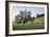 Oak Tree #86-Alan Blaustein-Framed Photographic Print