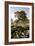 Oak Tree #90-Alan Blaustein-Framed Photographic Print