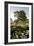 Oak Tree #90-Alan Blaustein-Framed Photographic Print